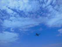 DSCN1505
